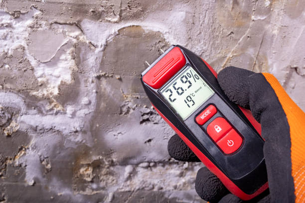 Best Mold Testing  in Perham, MN