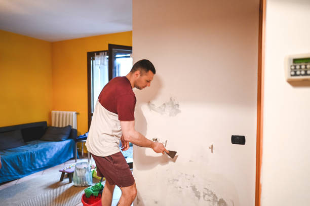 Best Home Mold Removal  in Perham, MN